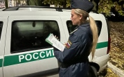 В Богородицке судебные приставы помогли решить соседский спор