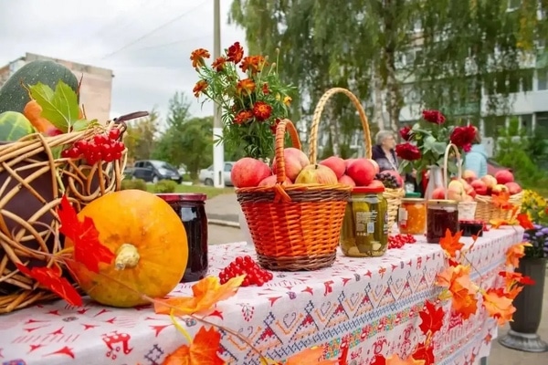 Хороводы, чай из самовара и дары природы: в Новомосковске с размахом отметили Осенины