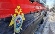 Жительница Узловой, ударившая приятеля ножом, проведёт семь лет в колонии