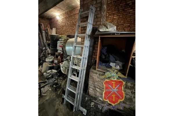 Неудачный «подъем»: в Кимовске двое автослесарей средь бела дня похитили чужую лестницу