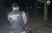 Жительница Богородицка убила своего сожителя