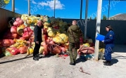 Прокуратура Тульской области проверяет организацию, сжигающую медицинские отходы
