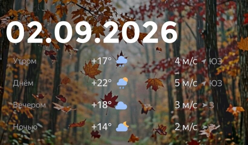 Слабый дождь: гороскоп и прогноз на 2 сентября