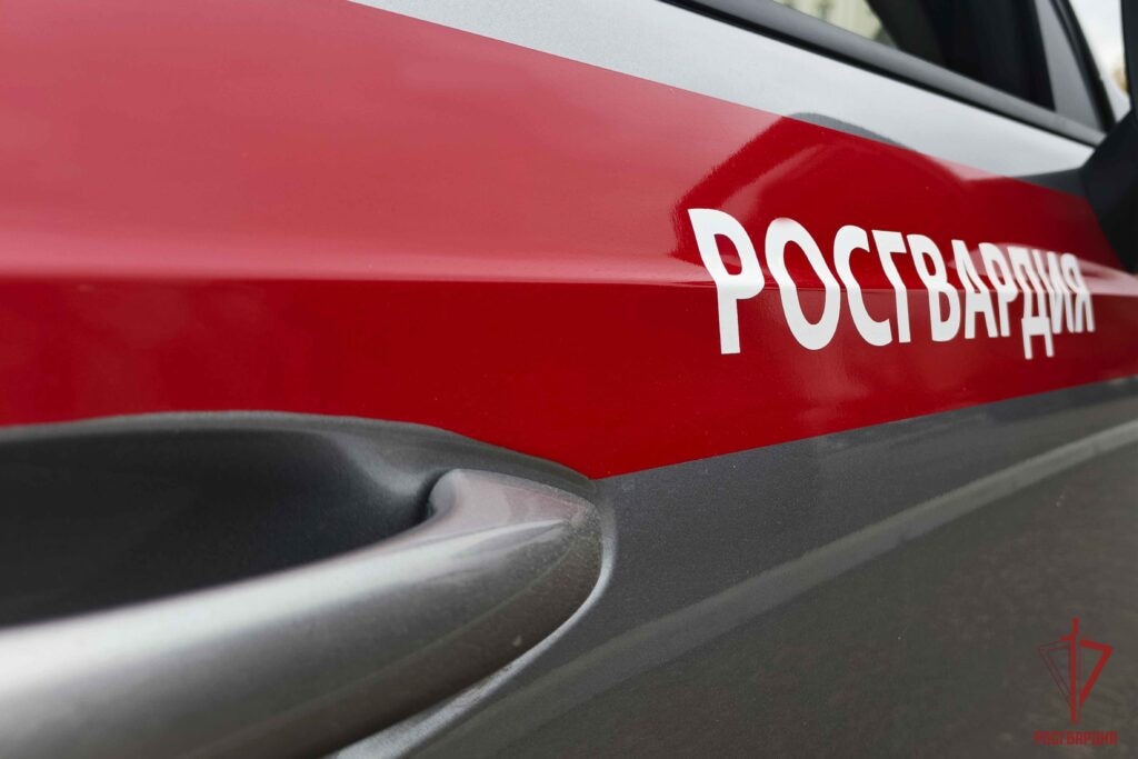 Тульские росгвардейцы за неделю пресекли свыше 50 административных правонарушений