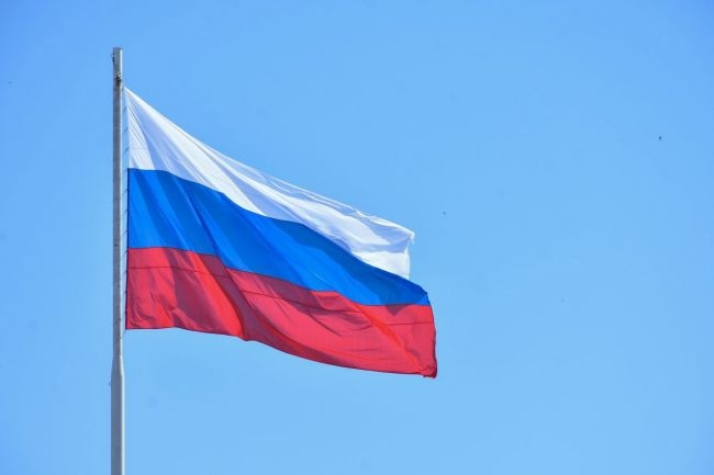 Тульские ветераны СВО нашли свое призвание в педагогической деятельности