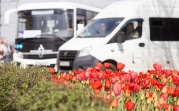 Погода в Туле 13 мая: переменная облачность и до +13 градусов