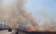 В Тульской области ожидается высокая степень пожароопасности