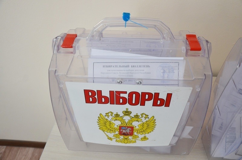 В Тульской области назвали лидеров по явке на выборах