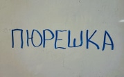 Пюрешка, сапборд и капча: РАН добавила в орфографический словарь русского языка еще 264 слова