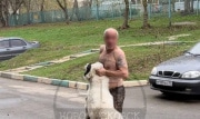 В Новомосковске алабай напал на прохожих: полиция проводит проверку