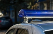 В ходе рейда в цыганском таборе Новомосковска полиция задержала 60 человек