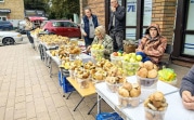 Бабушек с урожаем узаконят: в Тульской области наведут порядок с рыночной торговлей