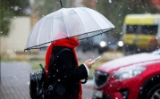 Погода в Туле 29 апреля: дождь, мокрый снег и ветер