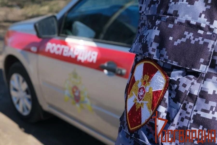 За неделю тульские росгвардейцы пресекли 28 административных правонарушений