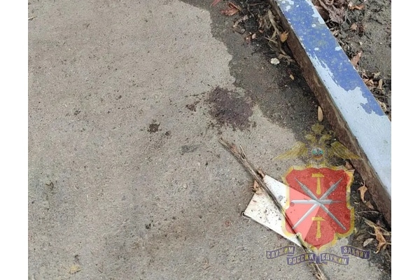 Застолье во дворе закончилось ножевым ранением: полицейские Донского задержали подозреваемую