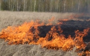 В Тульской области до 28 апреля сохранится высокая степень пожарной опасности